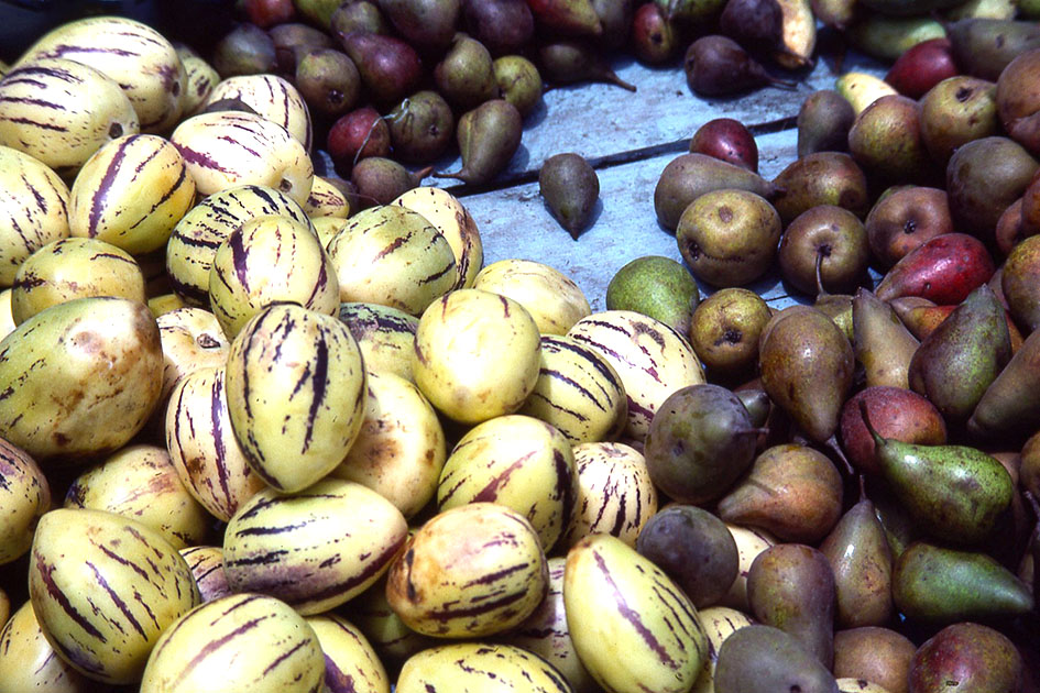 Ecuador Galapogos 00062