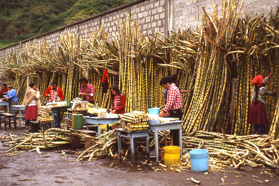 Ecuador Galapogos 00069
