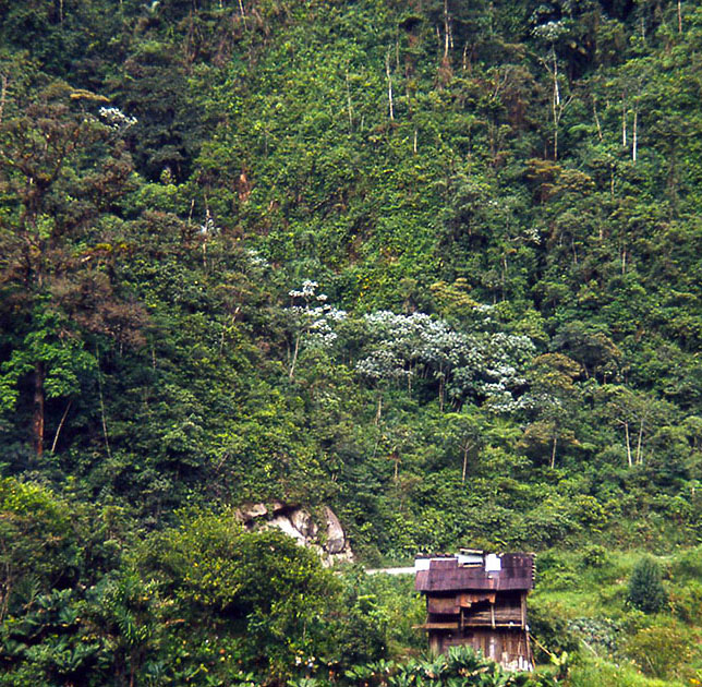 Ecuador Galapogos 00075