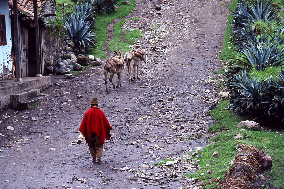 Ecuador Galapogos 00087
