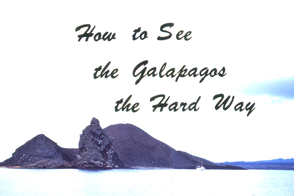 Ecuador Galapogos 00095