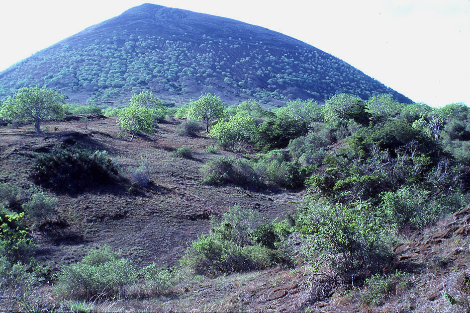 Ecuador Galapogos 00106
