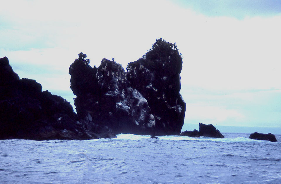 Ecuador Galapogos 00108