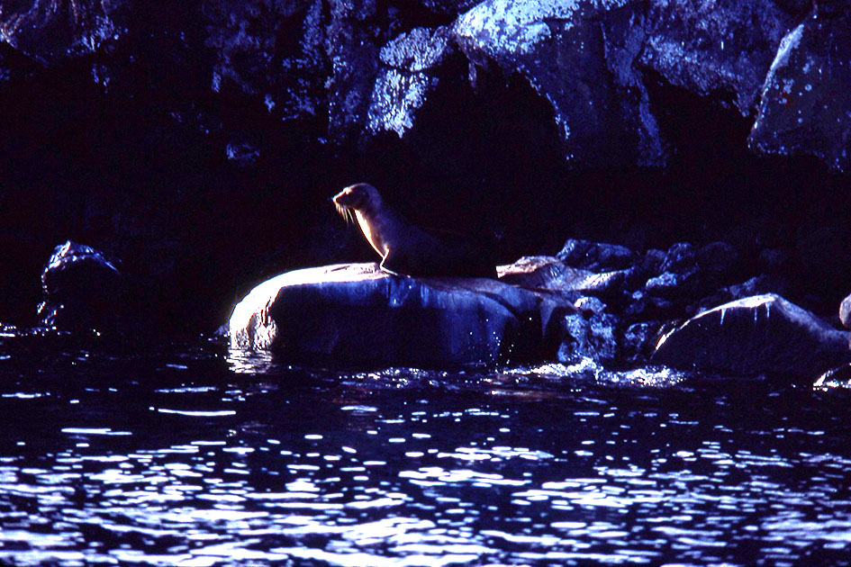 Ecuador Galapogos 00109