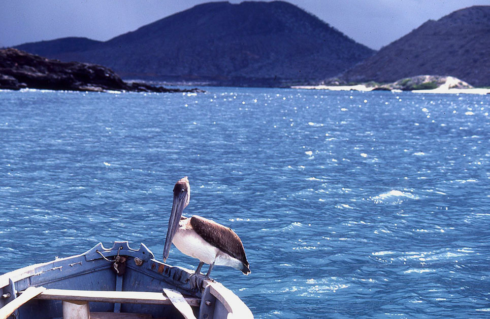 Ecuador Galapogos 00120
