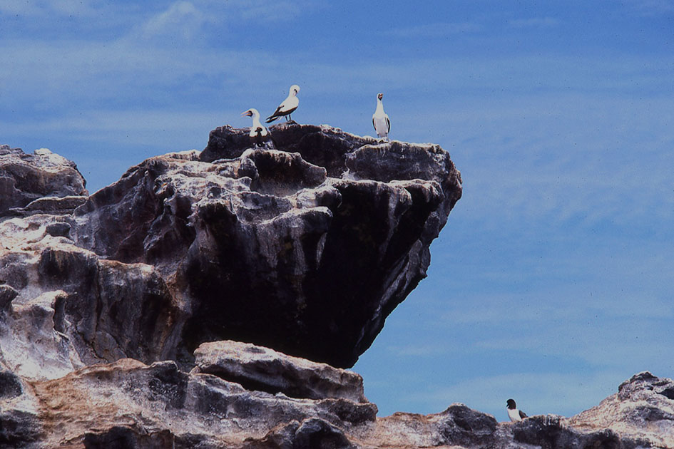 Ecuador Galapogos 00124