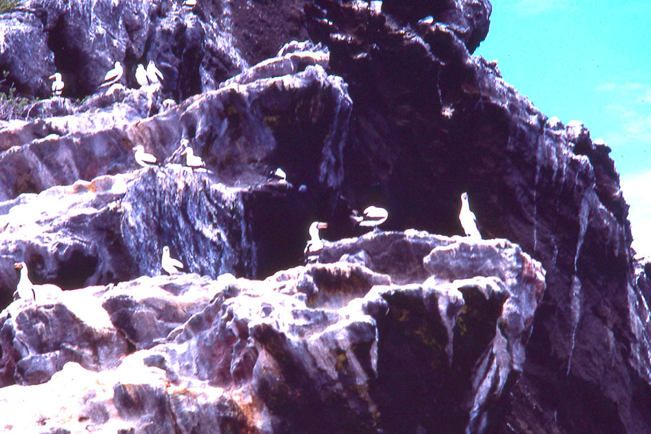 Ecuador Galapogos 00128