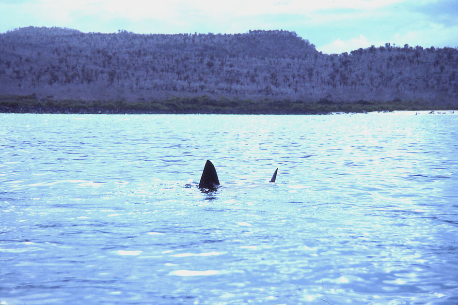 Ecuador Galapogos 00132