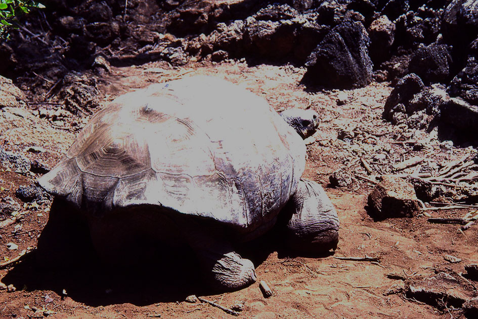 Ecuador Galapogos 00151