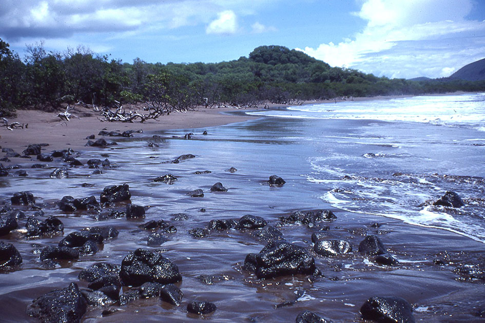 Ecuador Galapogos 00156