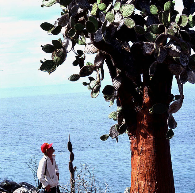 Ecuador Galapogos 00157