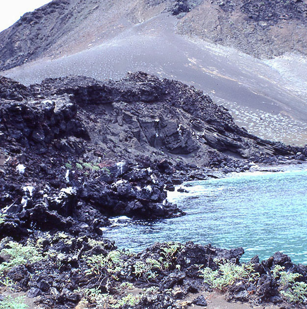 Ecuador Galapogos 00164