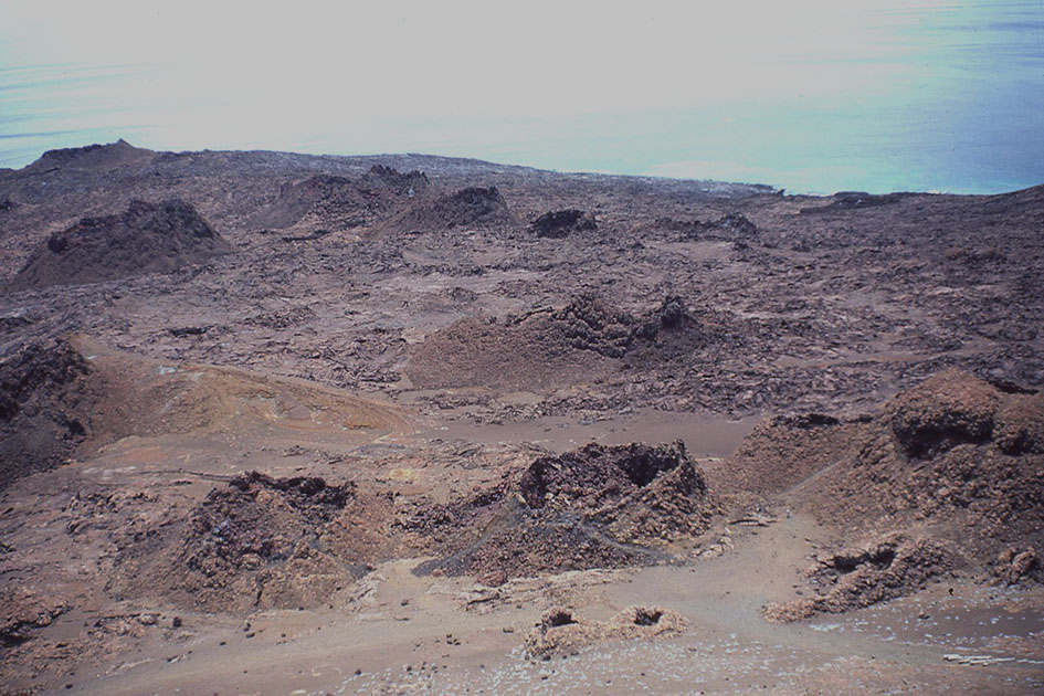 Ecuador Galapogos 00168