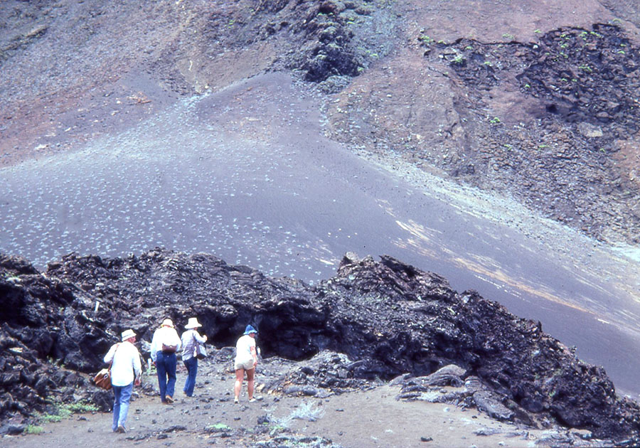 Ecuador Galapogos 00169