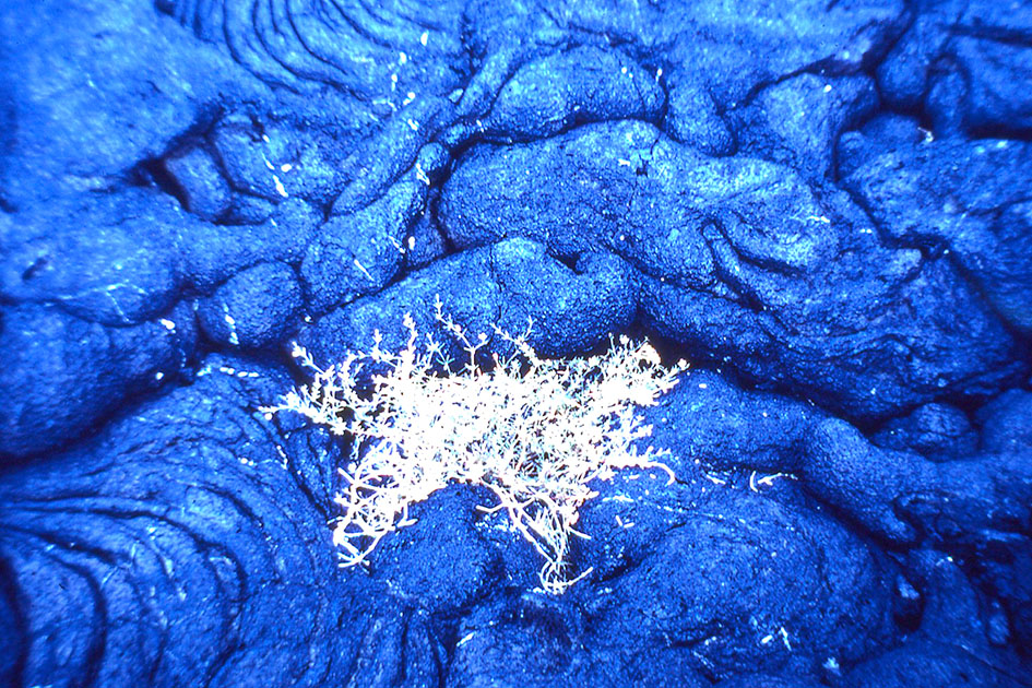 Ecuador Galapogos 00172