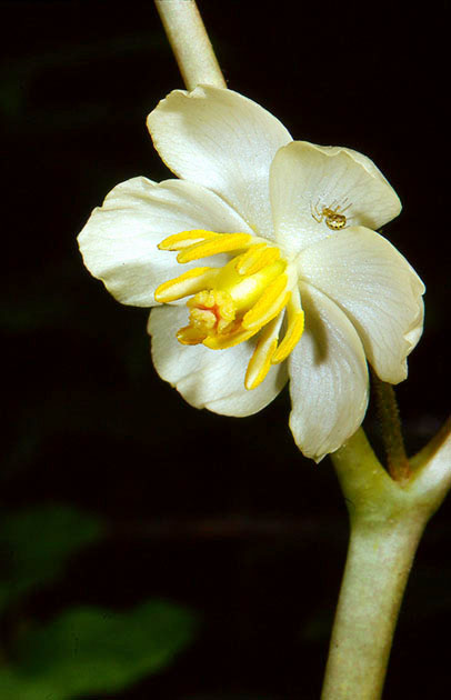 Nature Winners_00017