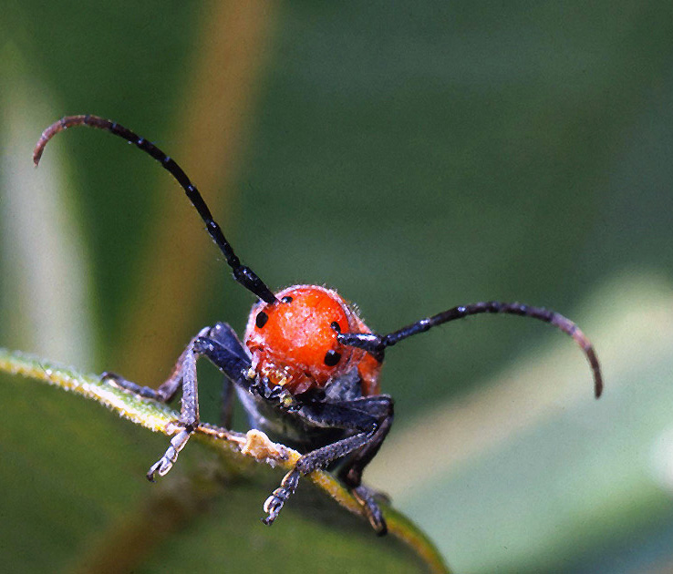 Nature Winners_00026