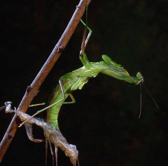 Nature Winners_00039