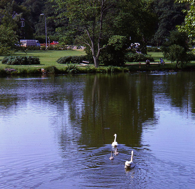 Scandanavian Holiday 2 0034