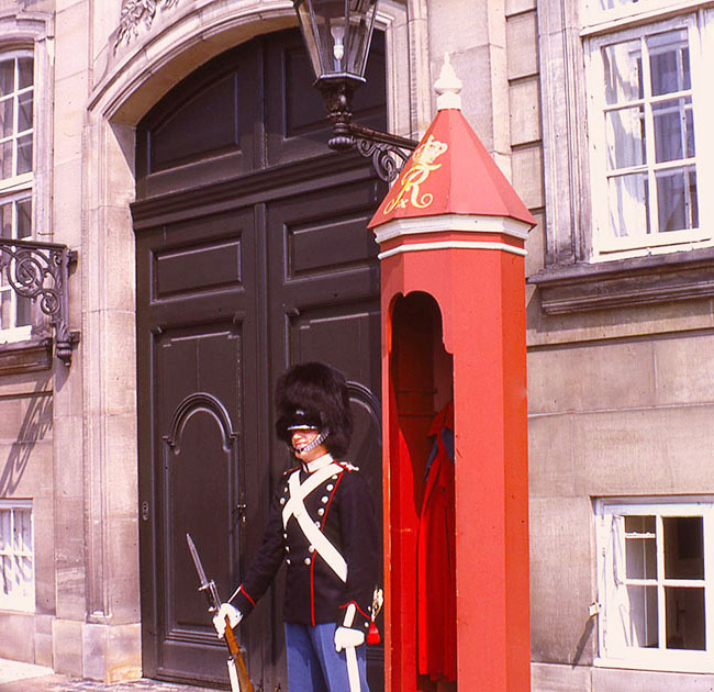 Scandanavian Holiday 2 0051