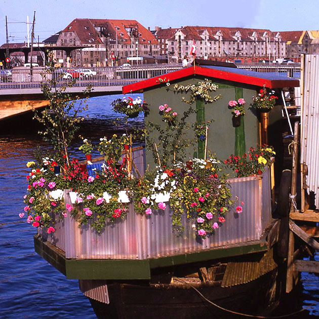 Scandanavian Holiday 2 0062