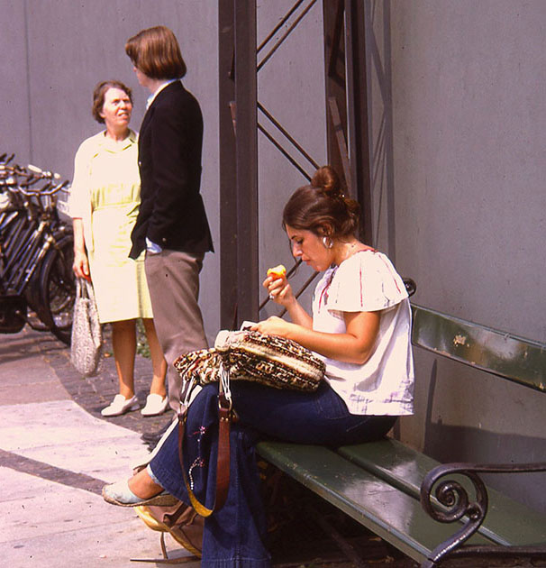 Scandanavian Holiday 2 0099