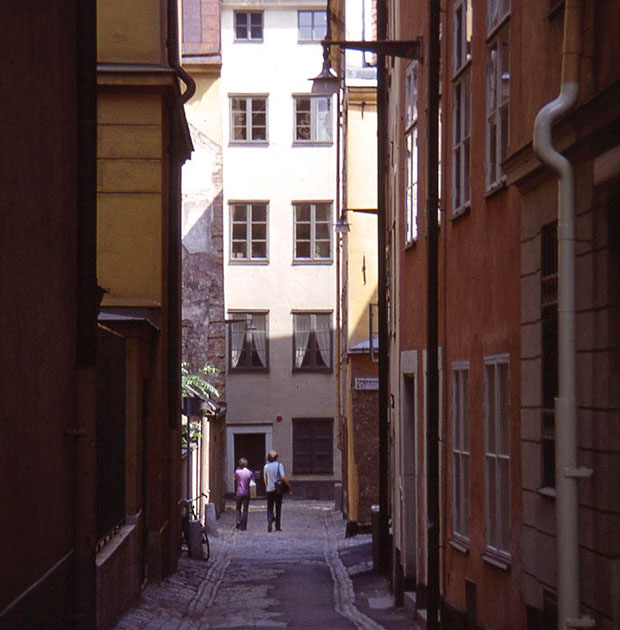 Scandanavian Holiday 2 0101