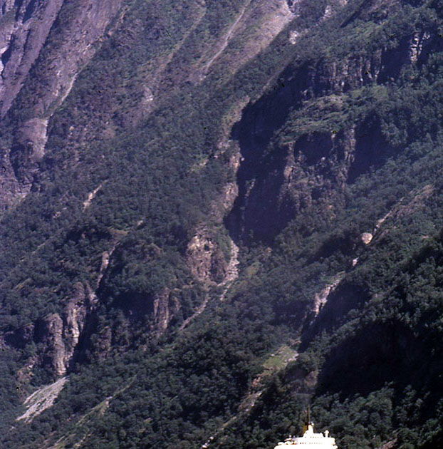 Scandanavian Holiday 2 0128