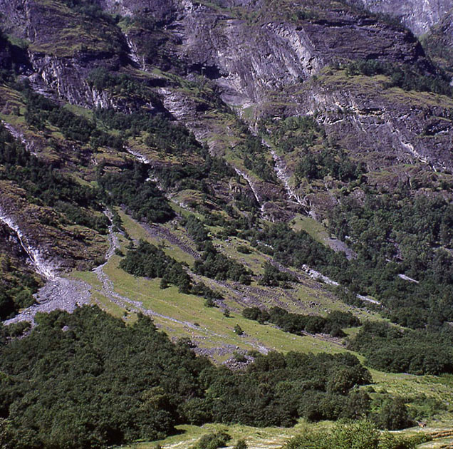 Scandanavian Holiday 2 0140 - Copy