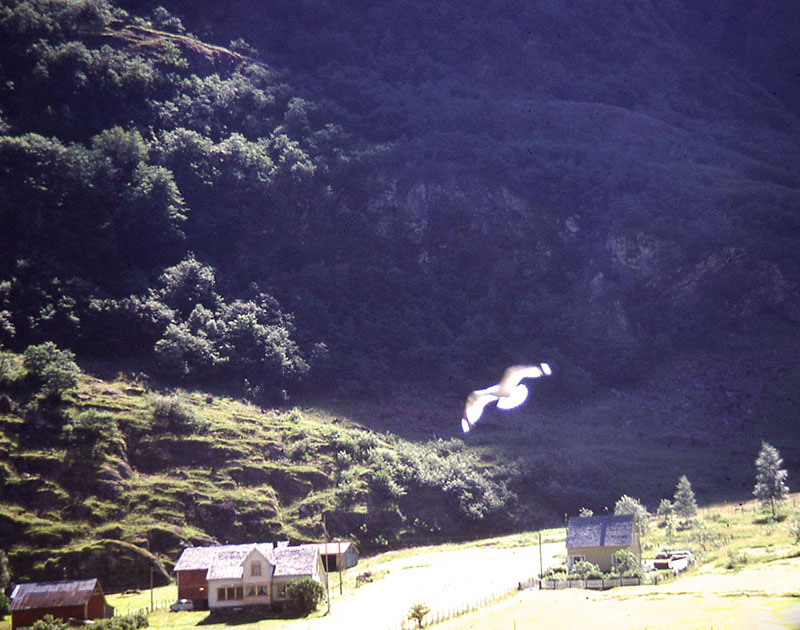 Scandanavian Holiday 2 0142 - Copy