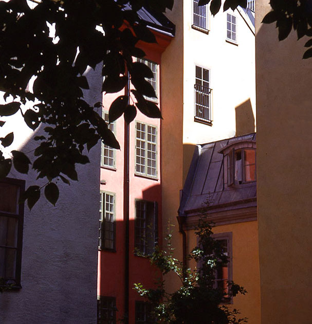 Scandanavian Holiday 2 0169