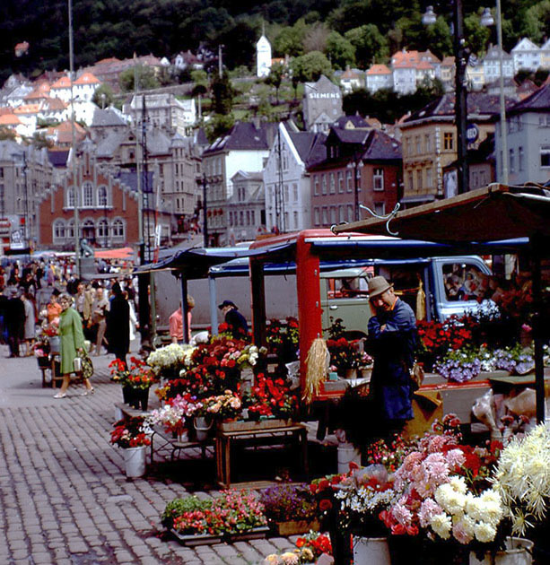 Scandinavian One 00014