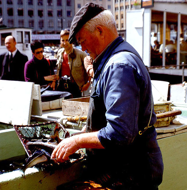 Scandinavian One 00018