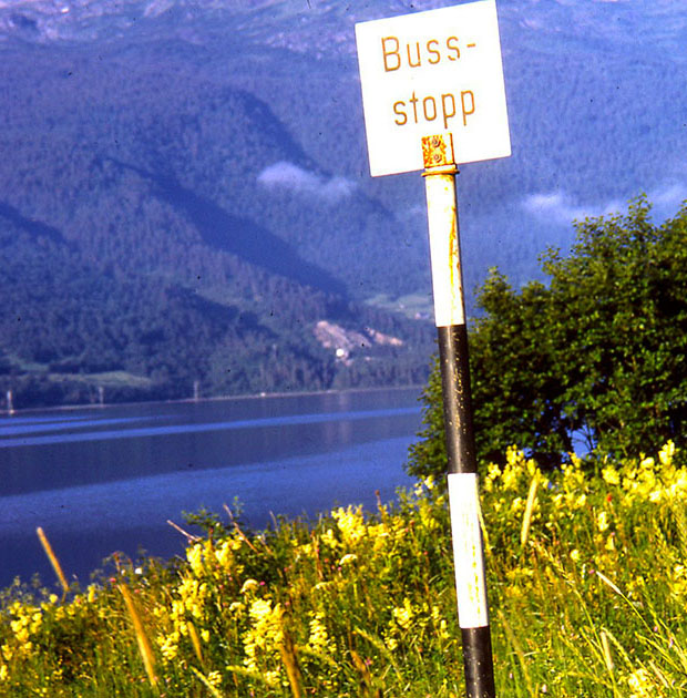 Scandinavian One 00039