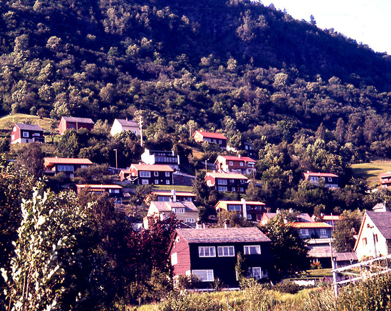 Scandinavian One 00041