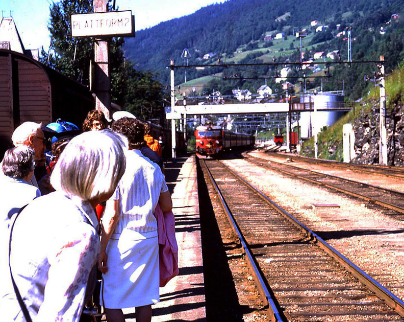 Scandinavian One 00043