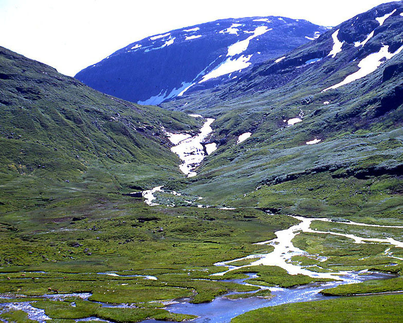 Scandinavian One 00045