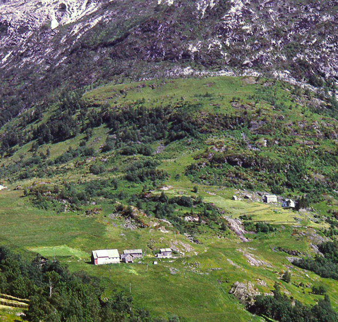 Scandinavian One 00053