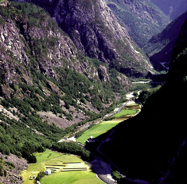 Scandinavian One 00055