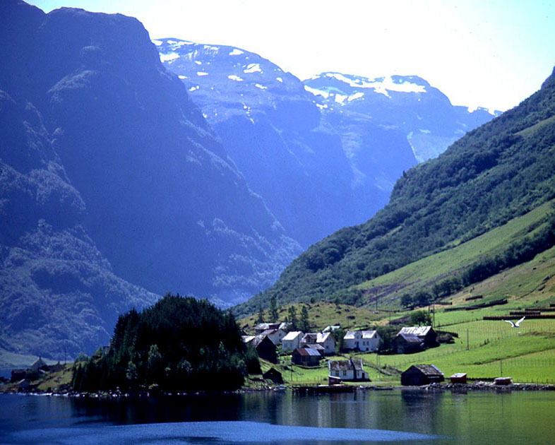 Scandinavian One 00061