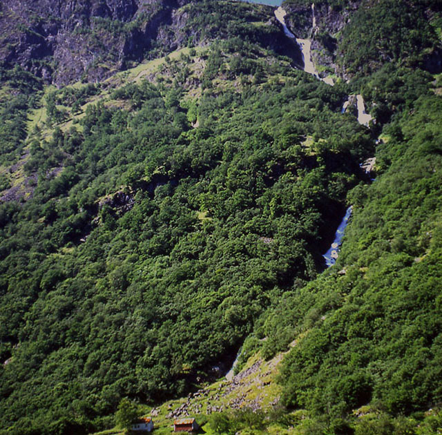 Scandinavian One 00062