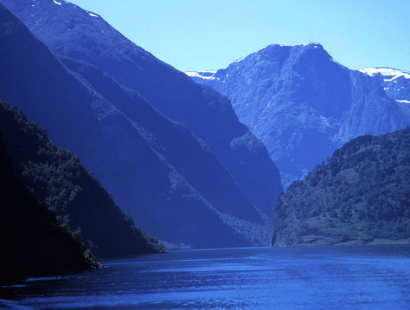 Scandinavian One 00063