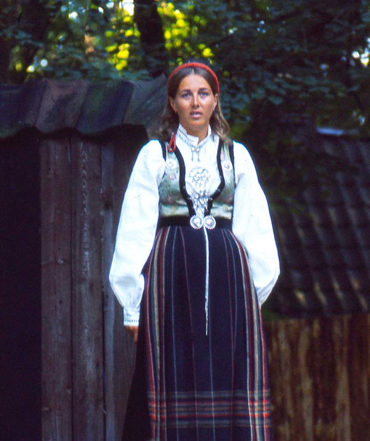 Scandinavian One 00094