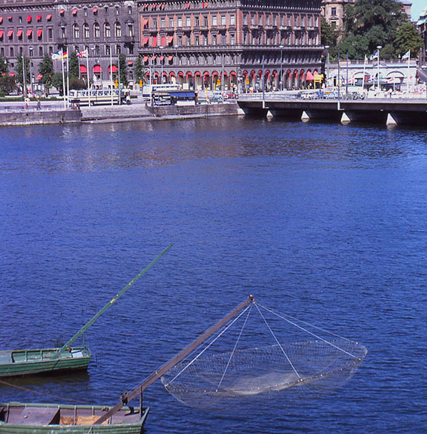 Scandinavian One 00121