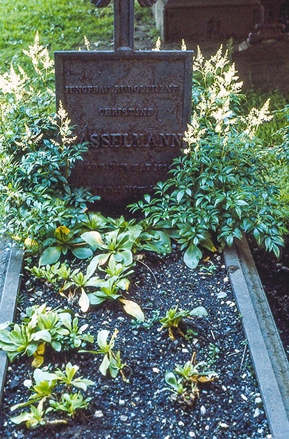 scandanavia 1 000013