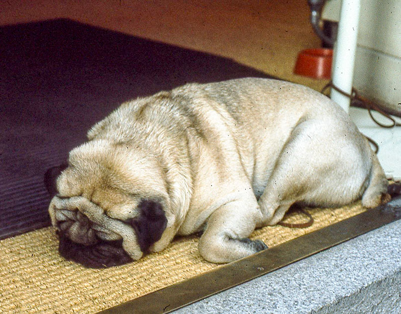 scandanavia 2 000036