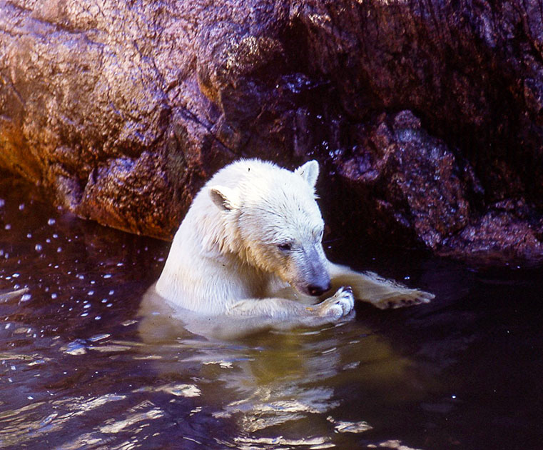 scandanavia 2 000045