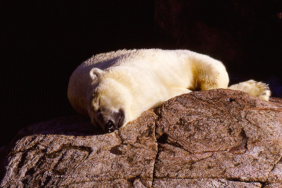 scandanavia 2 000046