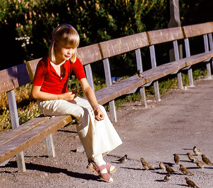 scandanavia 2 000047