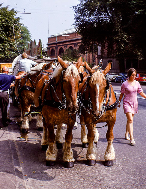 scandanavia 2 000134